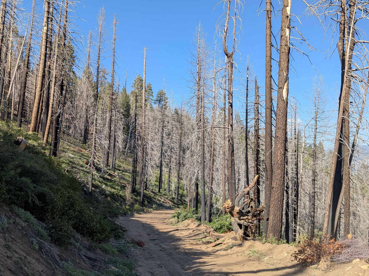 Mule Peak South - FS 22S03 photo 3