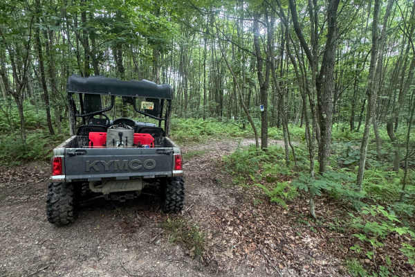 Trail 85