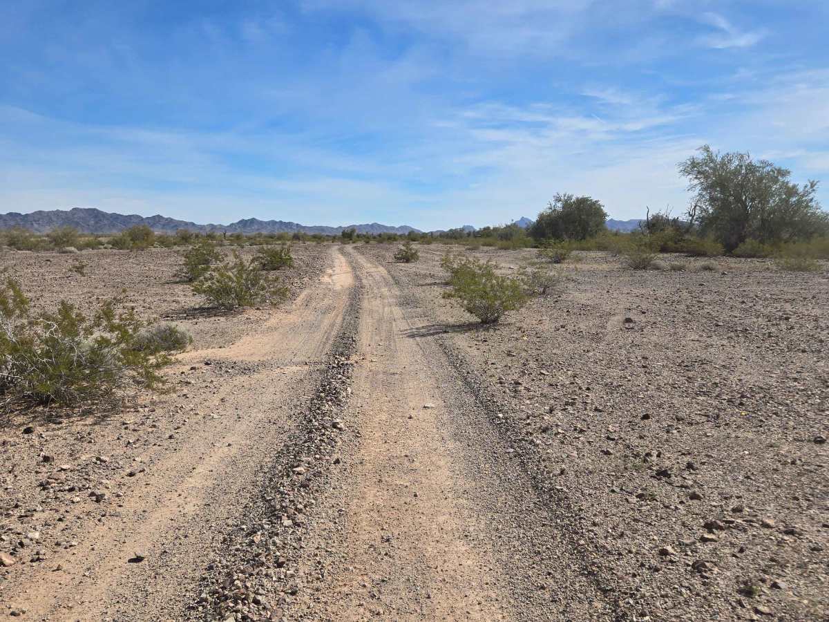 Across the Flats - BLM 0082 photo 2