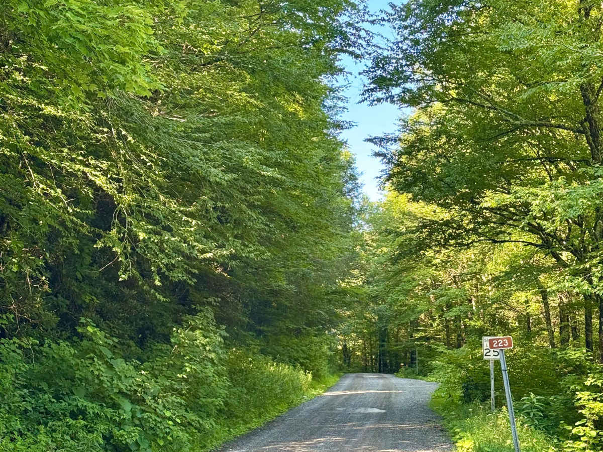 Bear Run Road - FS 223 trail photo