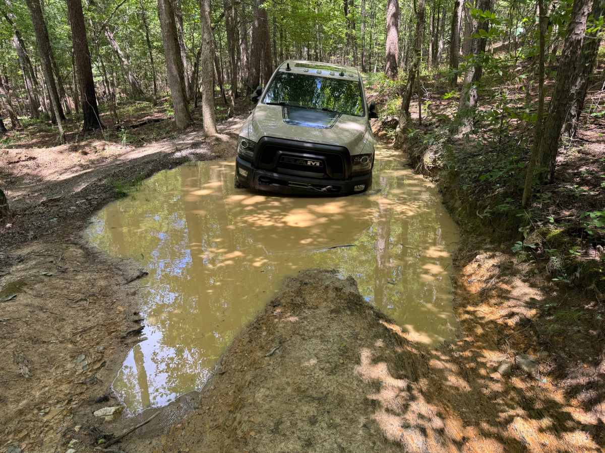 Shirley Creek photo 3