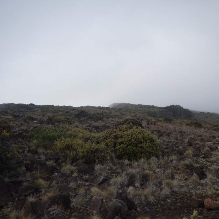 Near Leleiwi Overlook