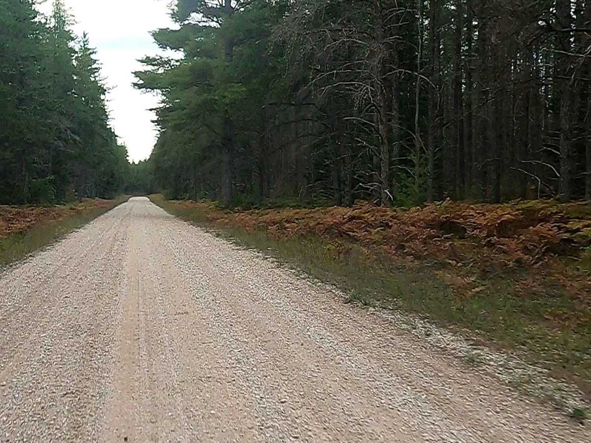 West Wilwin Road/ West Camp 2 Truck Trail - FS 3145 photo 4