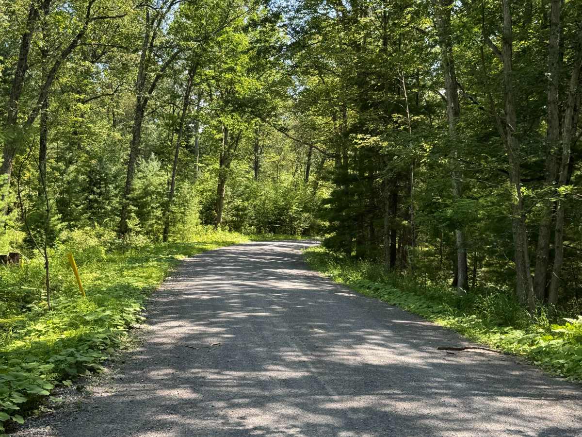 Okome Road trail photo