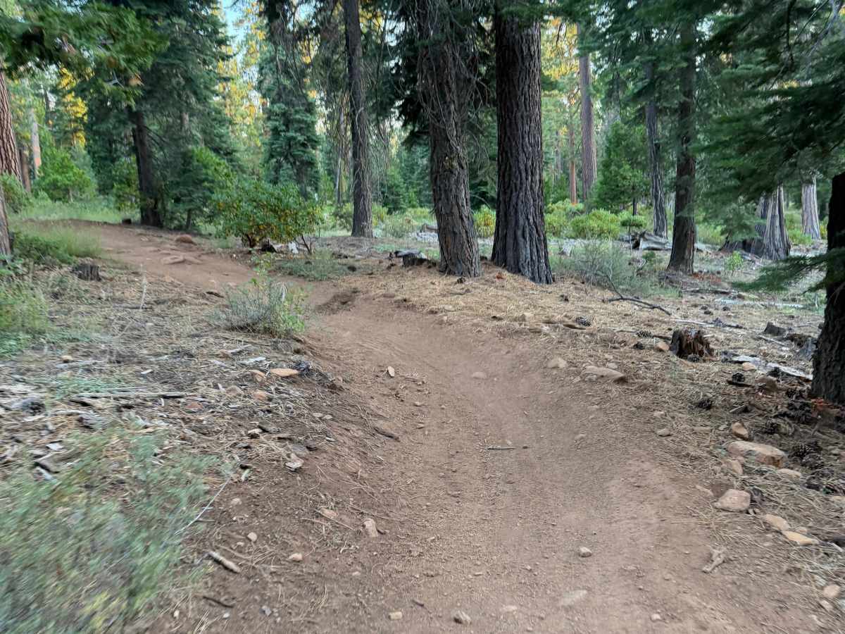 Beaver Tail Trail (Upper) photo 6