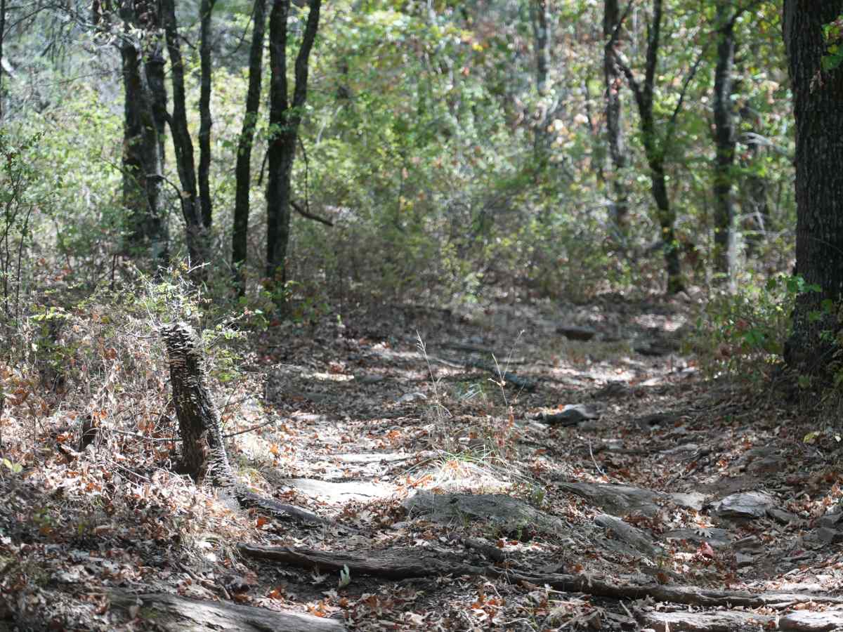 Blue 26 trail photo