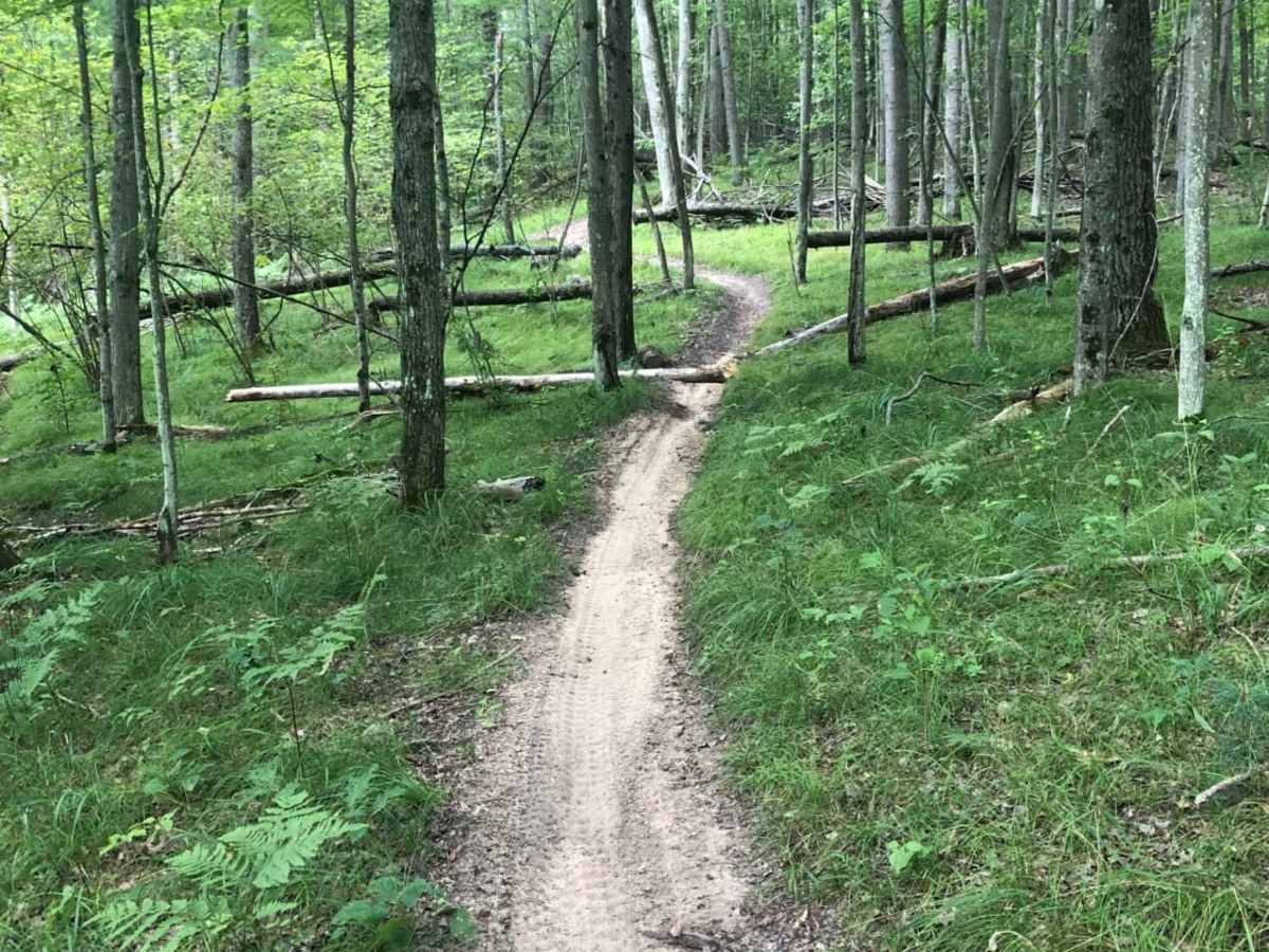 Evart Motorcycle Trail trail photo