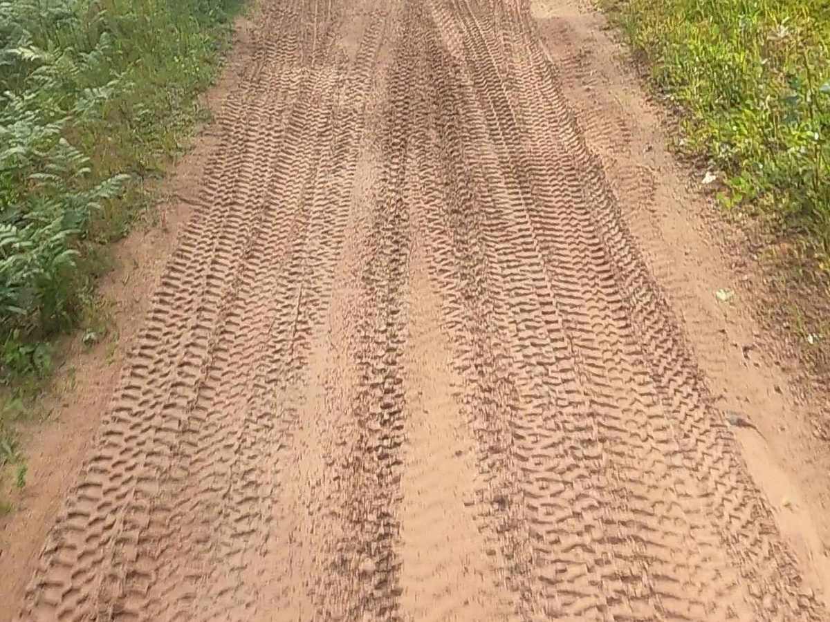Aetna Mine Road trail photo
