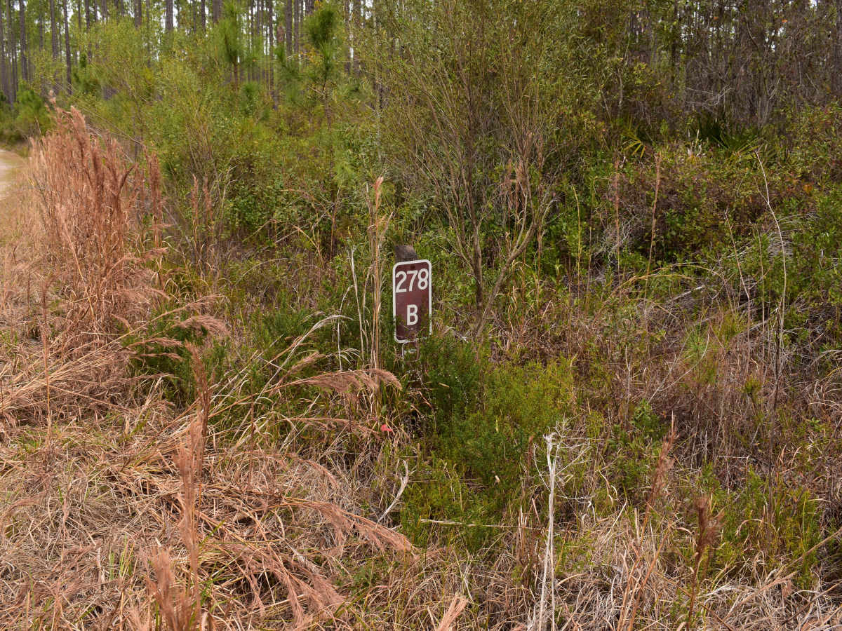 FR 278-B photo 2