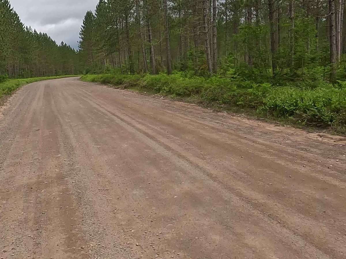 County Road AAD photo 5
