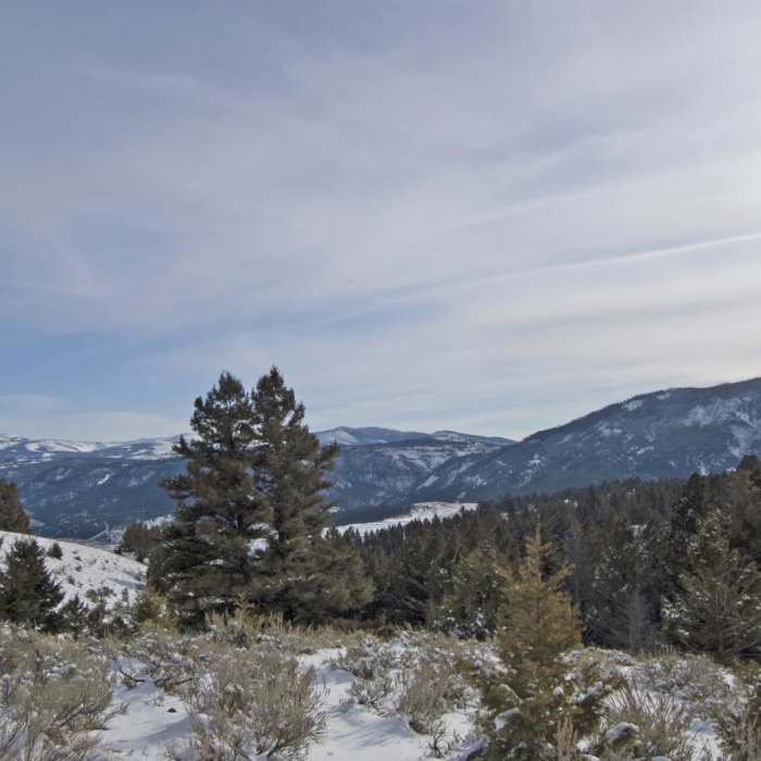 Near Beaver Ponds Loop