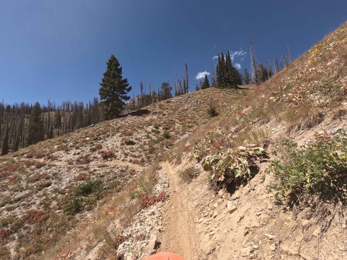Johnson Creek - FS 7181 photo 6