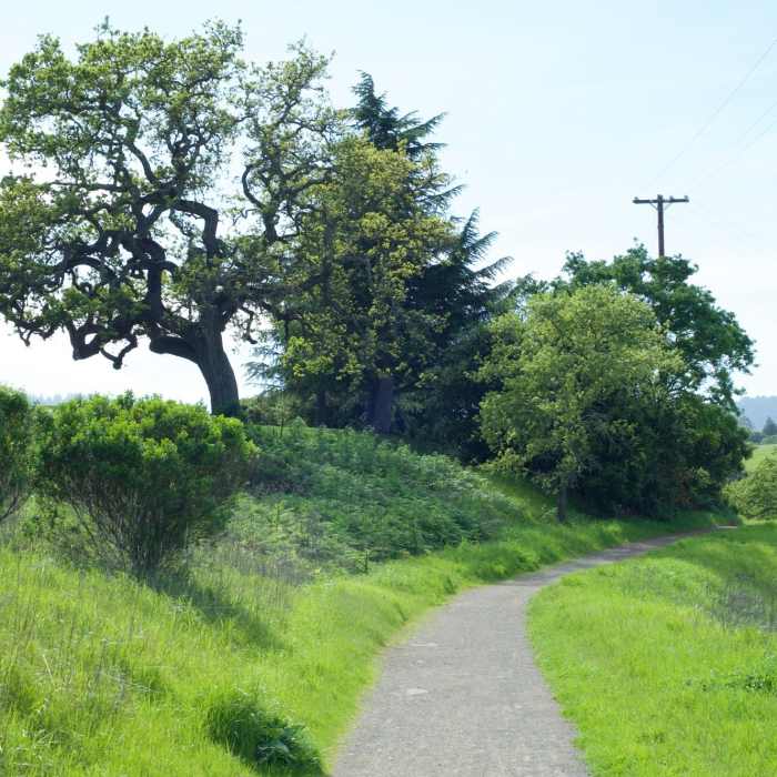 Near Wild Rye Trail