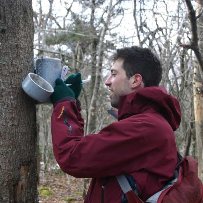 Near Fir and Big Indian Mountain