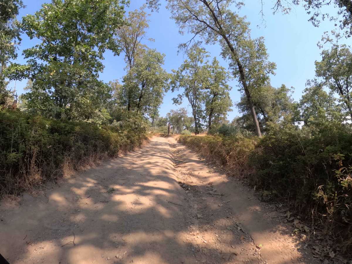Ponderosa Fire Line - Upper - FS 6S017 photo 6