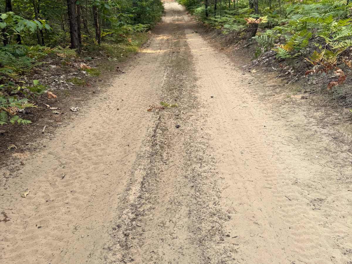 FS 9021 trail photo