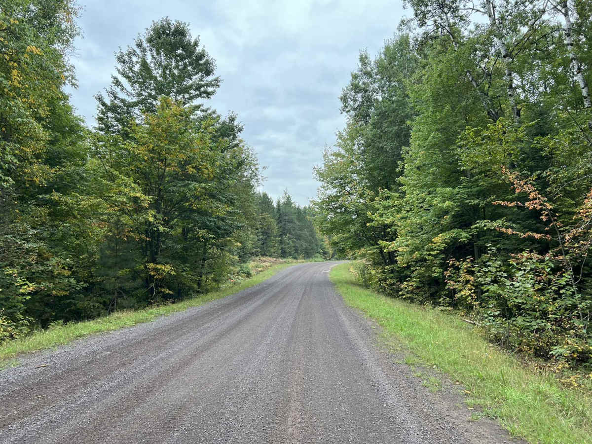 FR 1100, Trail OC photo 6