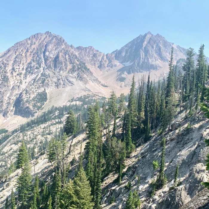 Near Alpine Way to Goat Lake
