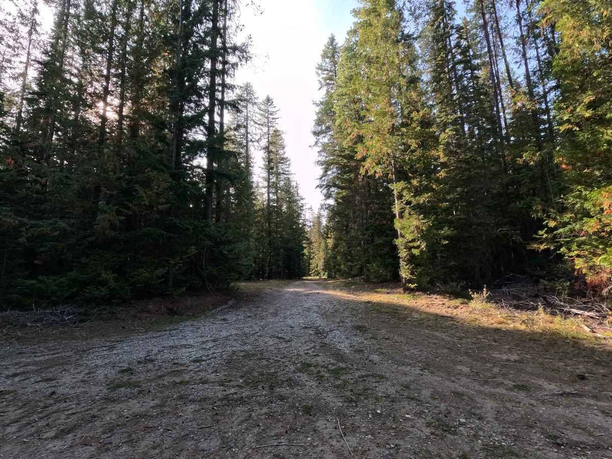 FS 3140480 trail photo