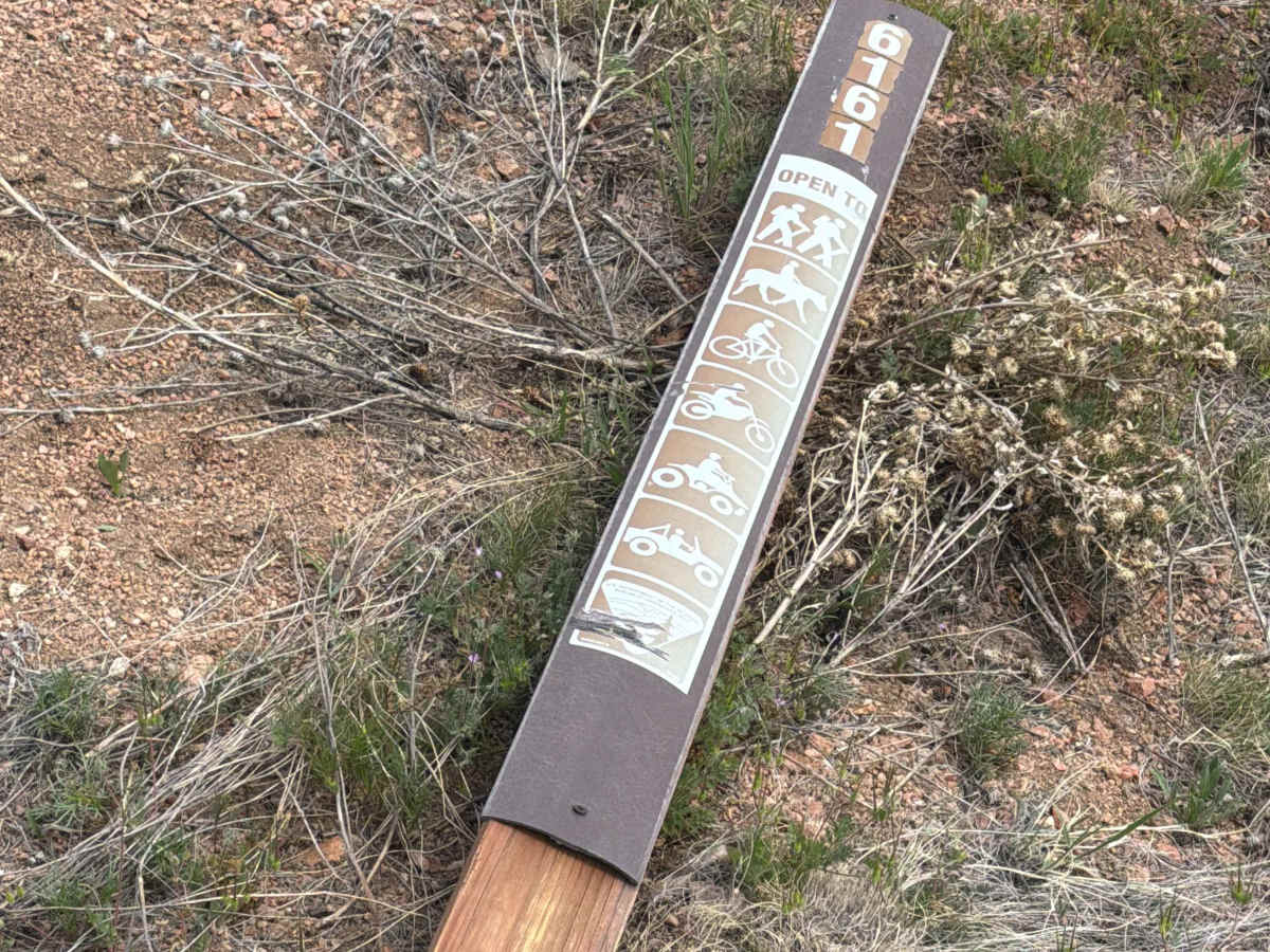 BLM 6161 photo 3