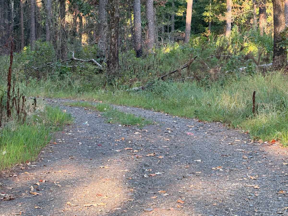 Flat Ridge  trail photo