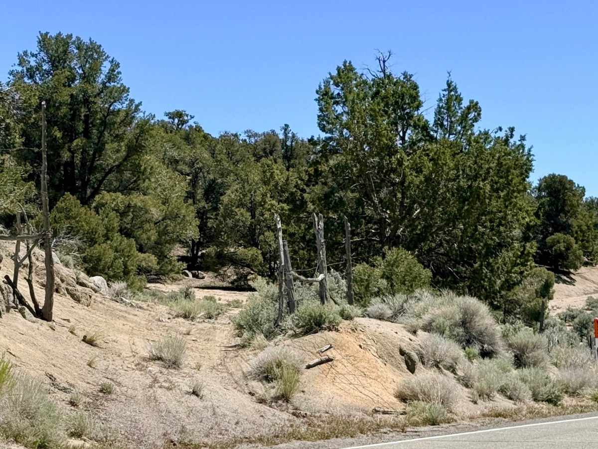 Blackbird Ranch Loop FS43255 photo 4