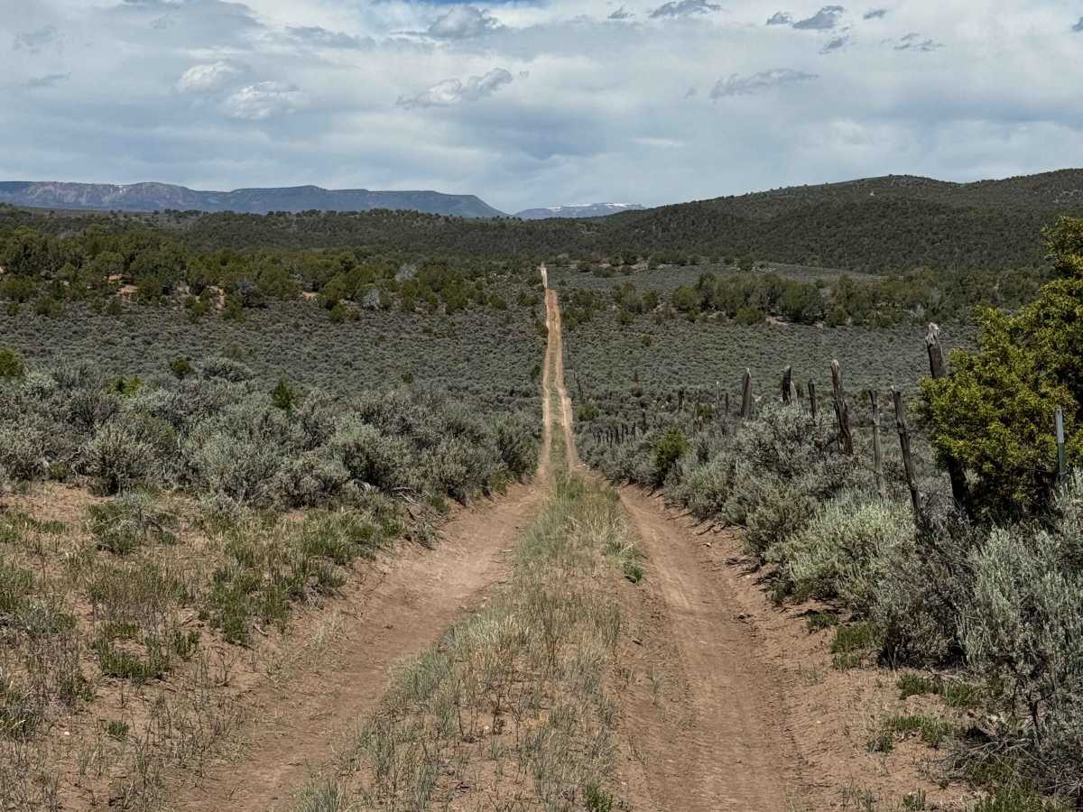 BLM 8482 photo 2
