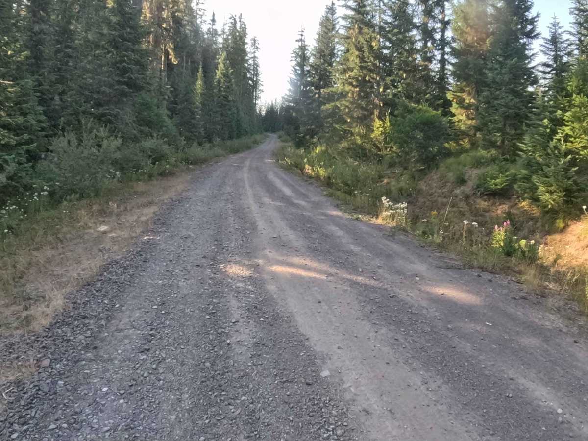 Trappers Butte - FS 1161 photo 6