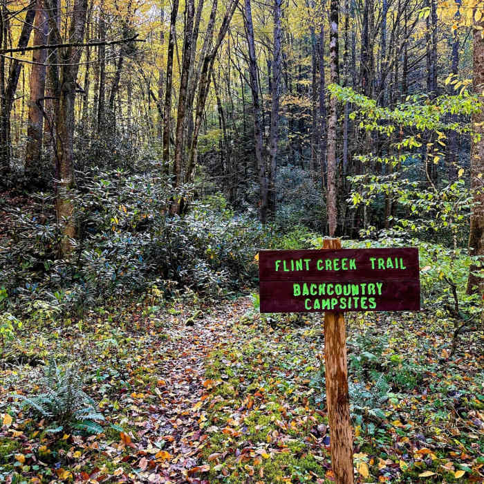 Near Flint Creek Trail