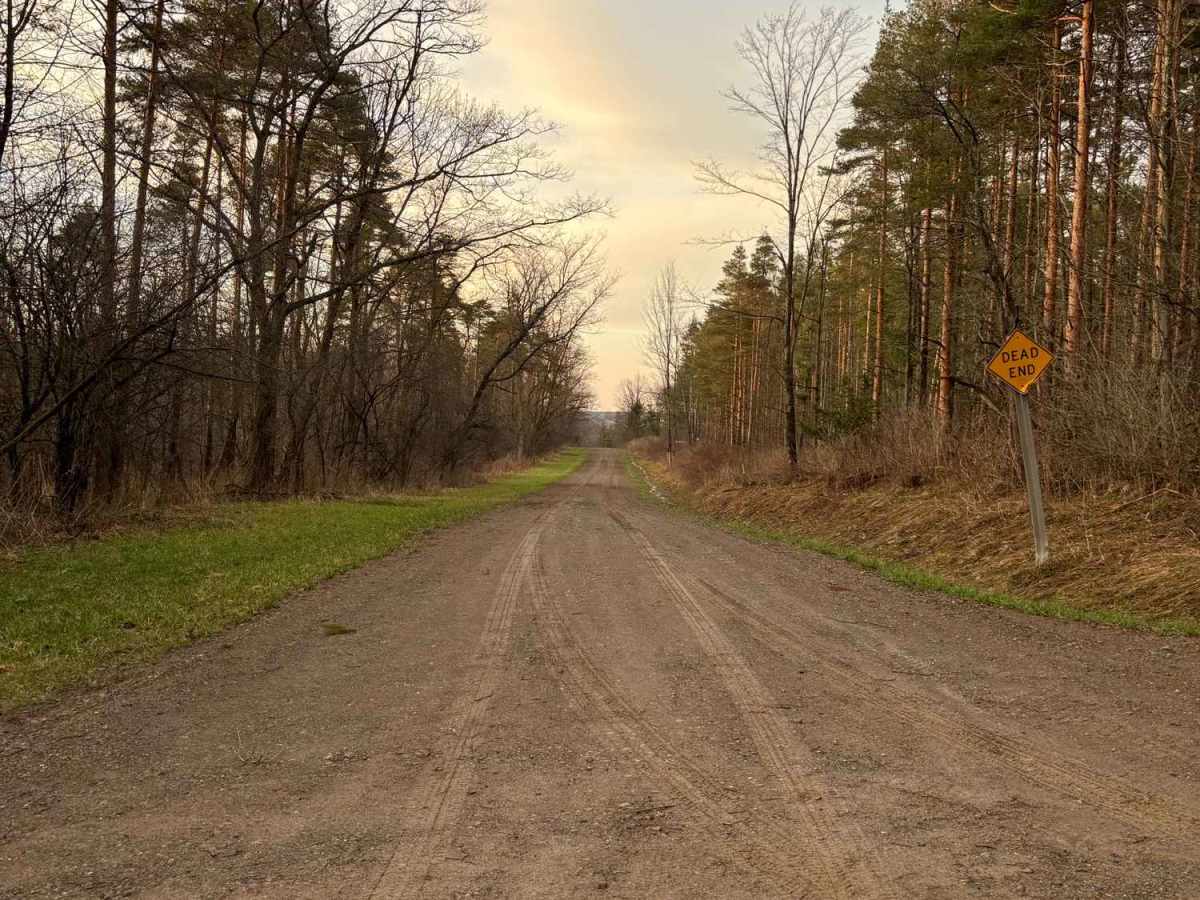 Deloss Road trail photo