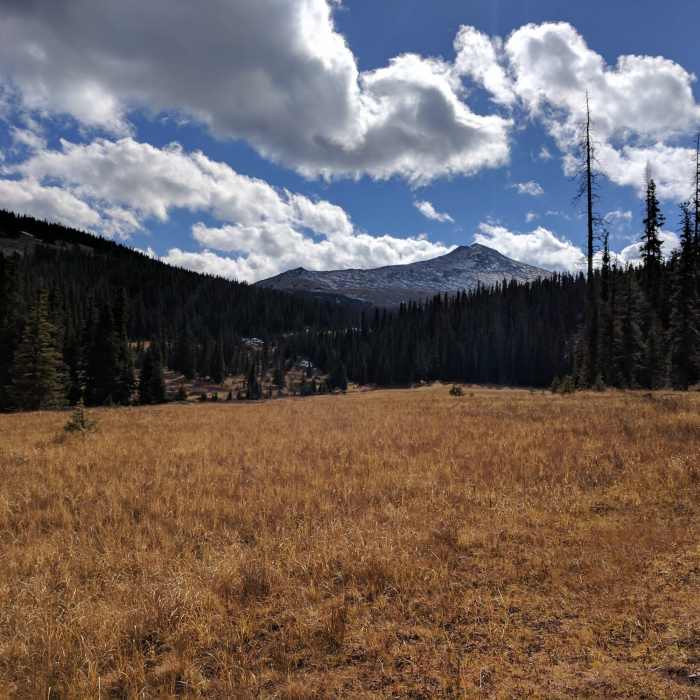 Near West Grouse Creek Trail #2129