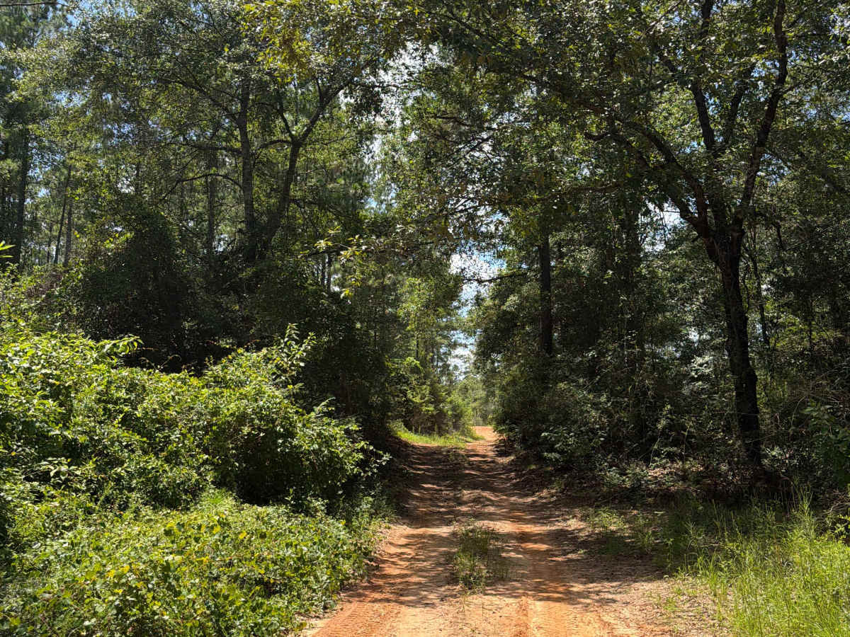 FS J2 trail photo