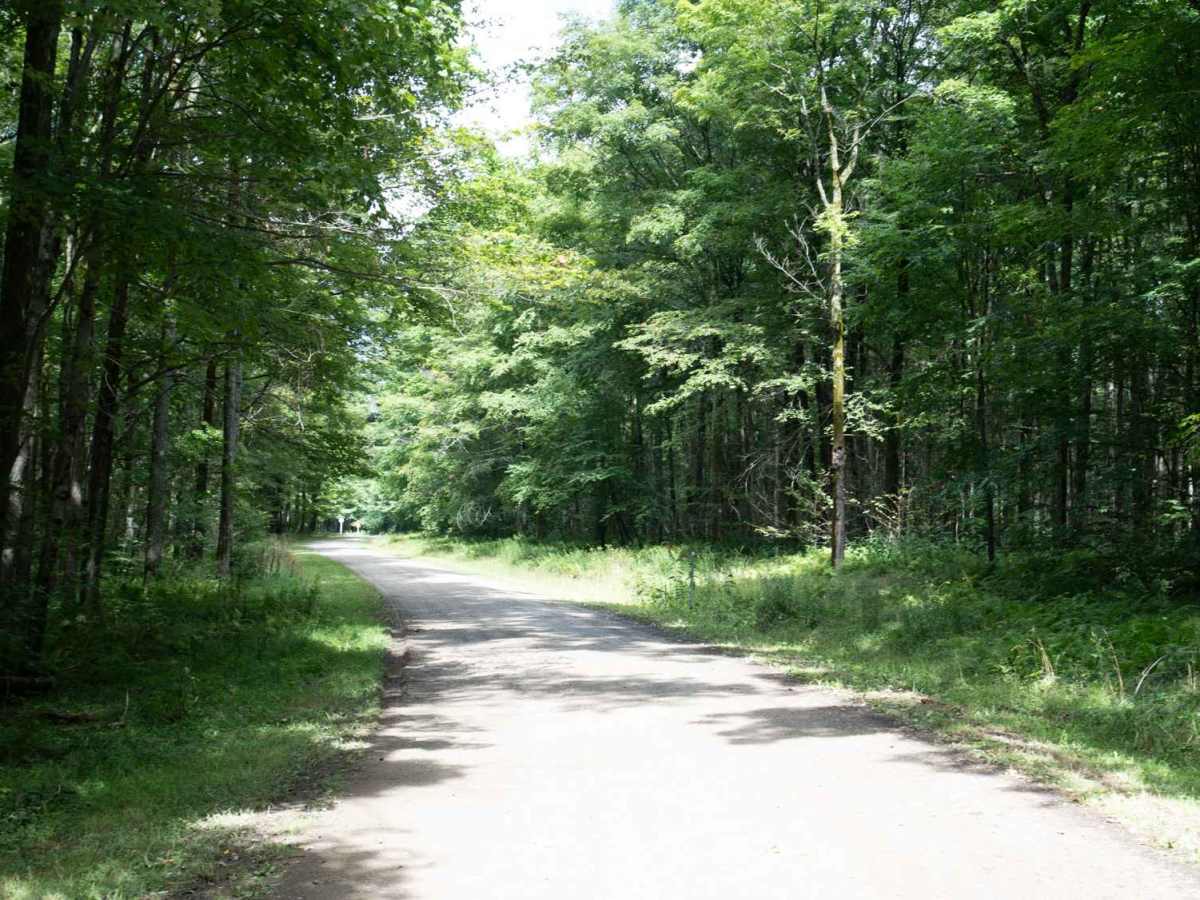 Ridge Run Road photo 6