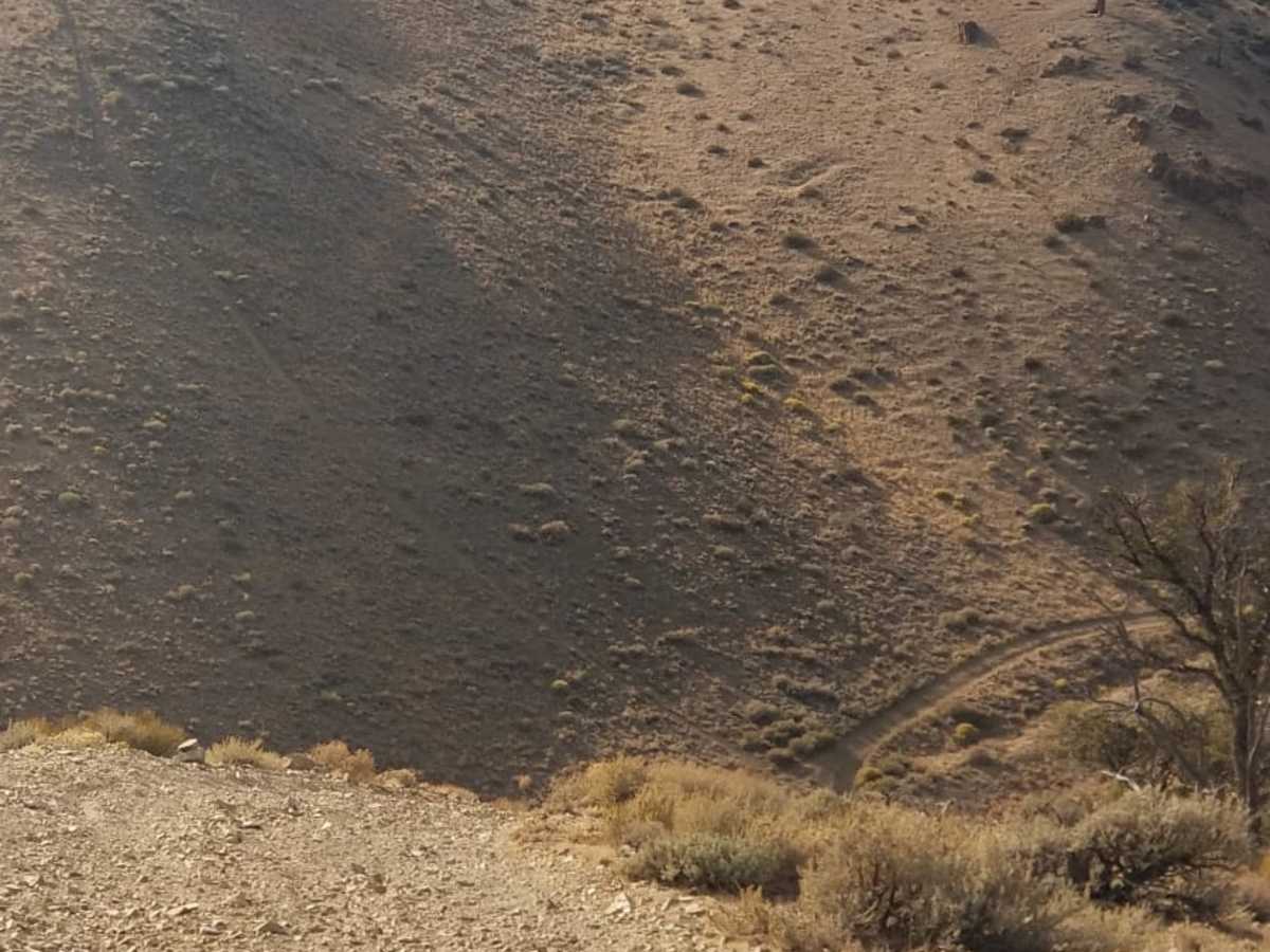 Peavine Prospector Run photo 4