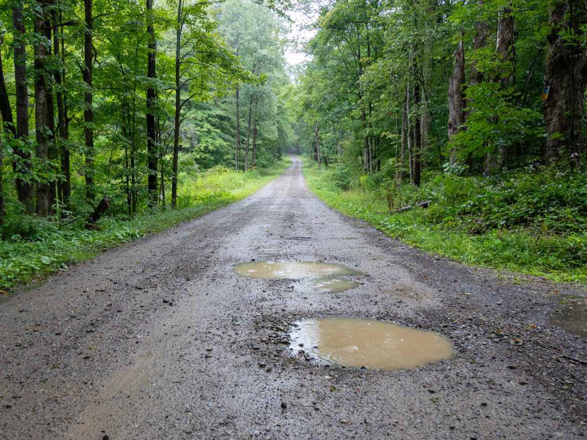Mutton Hollow Road photo 5