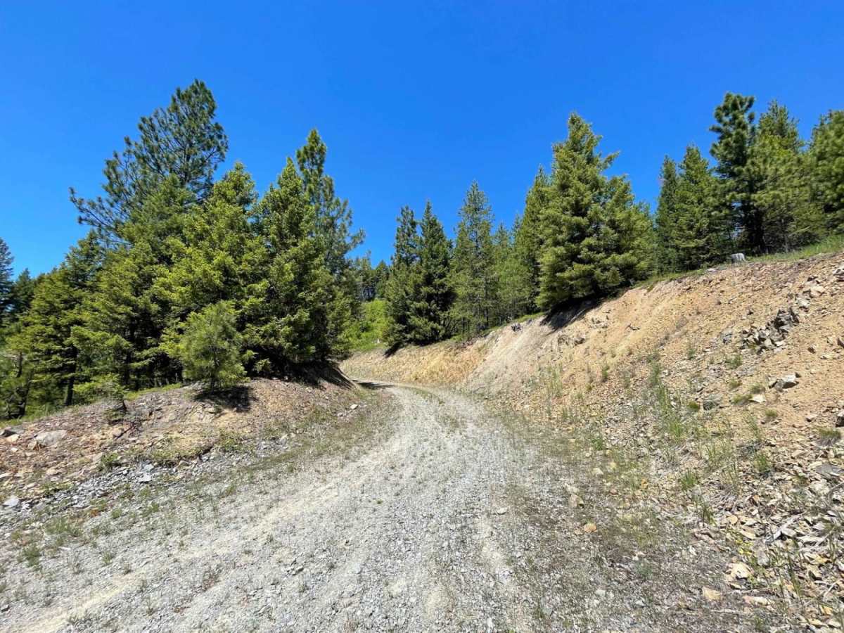 Wallace Spur photo 3