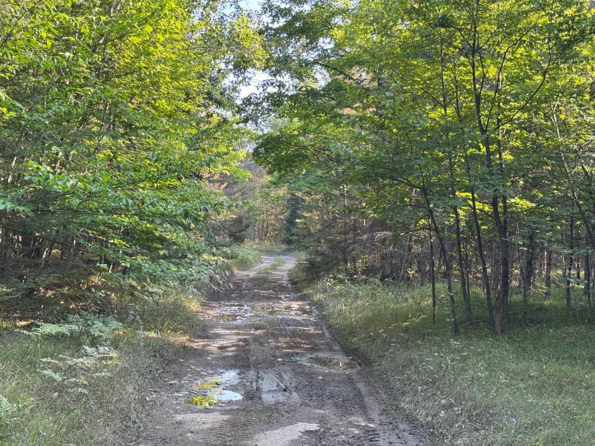 Island Isolation Trail photo 4