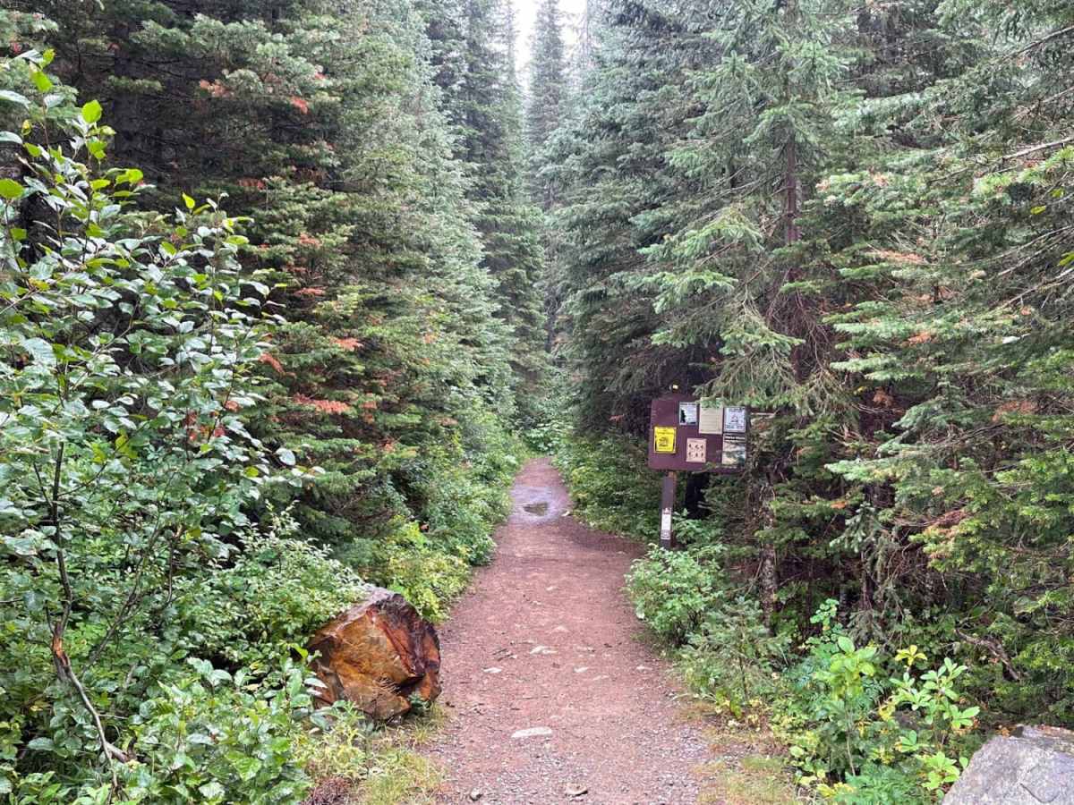 Moose Creek Trailhead photo 2