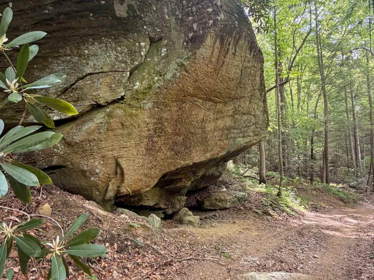 Big Rock Bottom photo 4