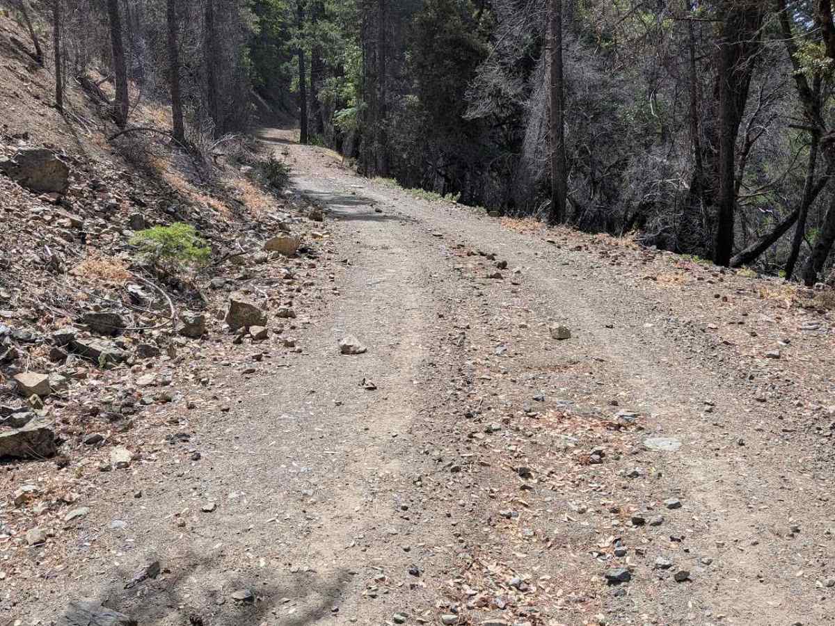 Soldier Creek Loop - FS 33N48  photo 5