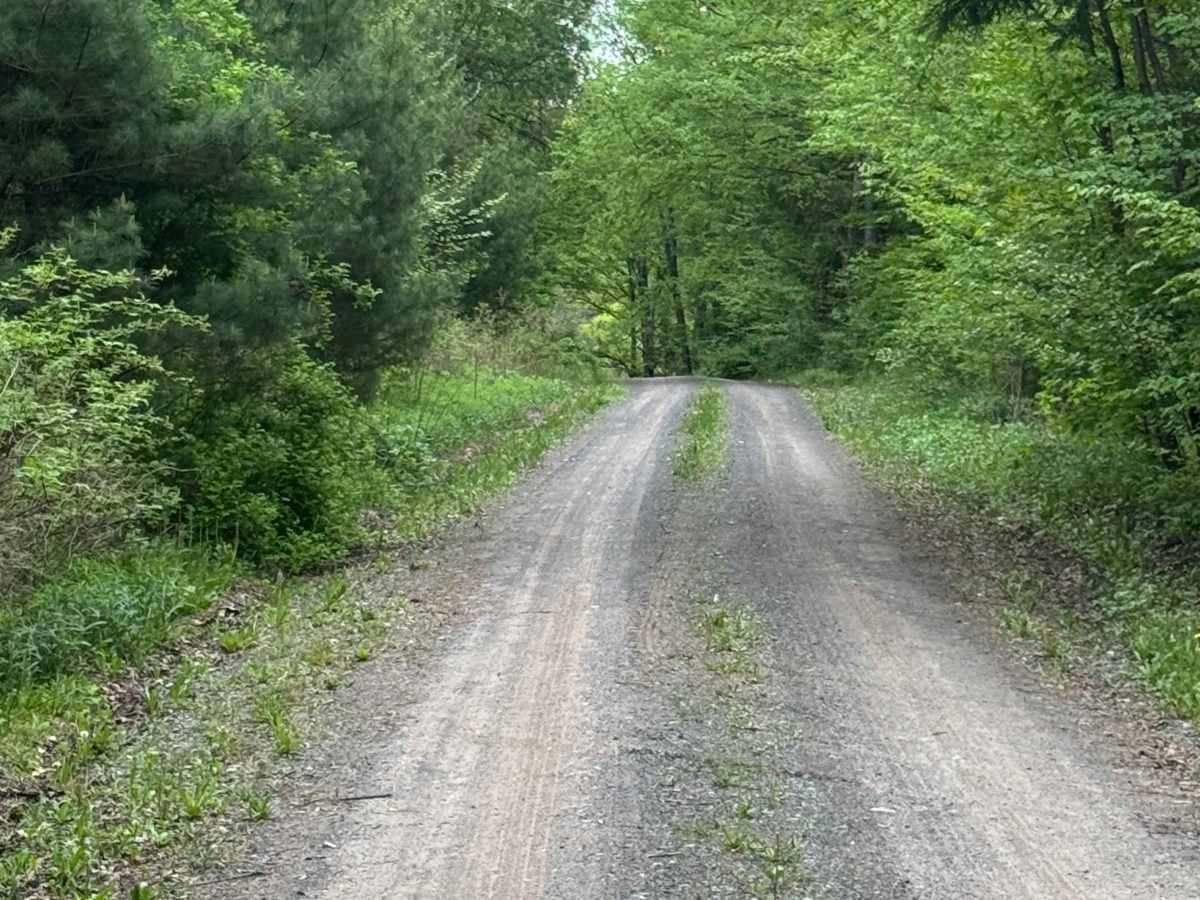 Spring Brook Loop photo 6