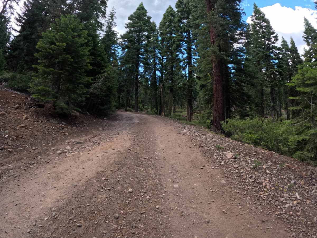 Carnelian Road - FS 16N63 photo 5