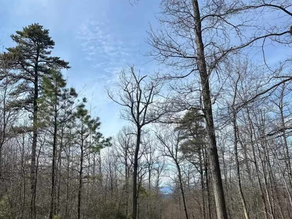 Middle Ridge Road  photo 5