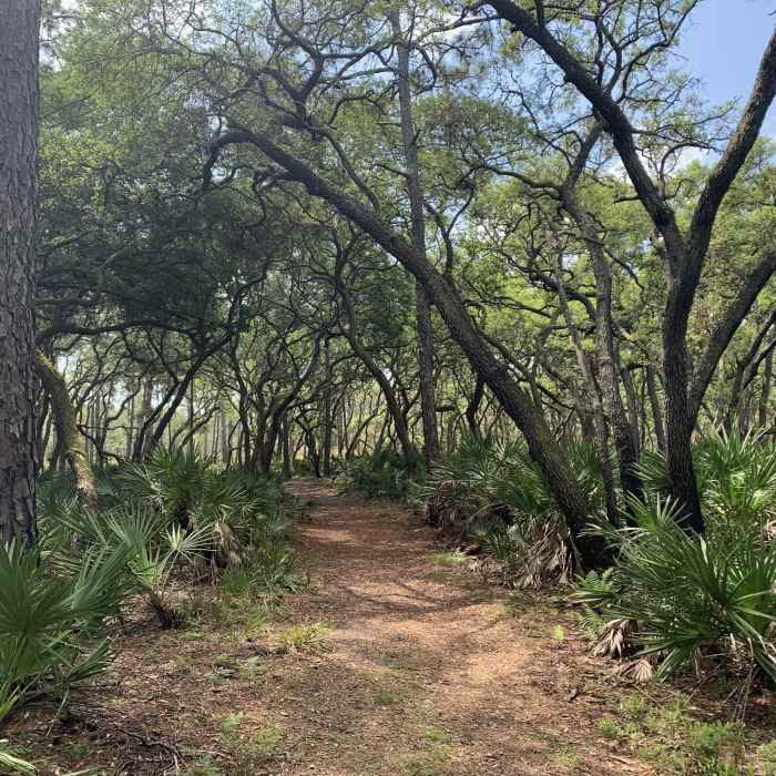 Near Volksmarch Trail