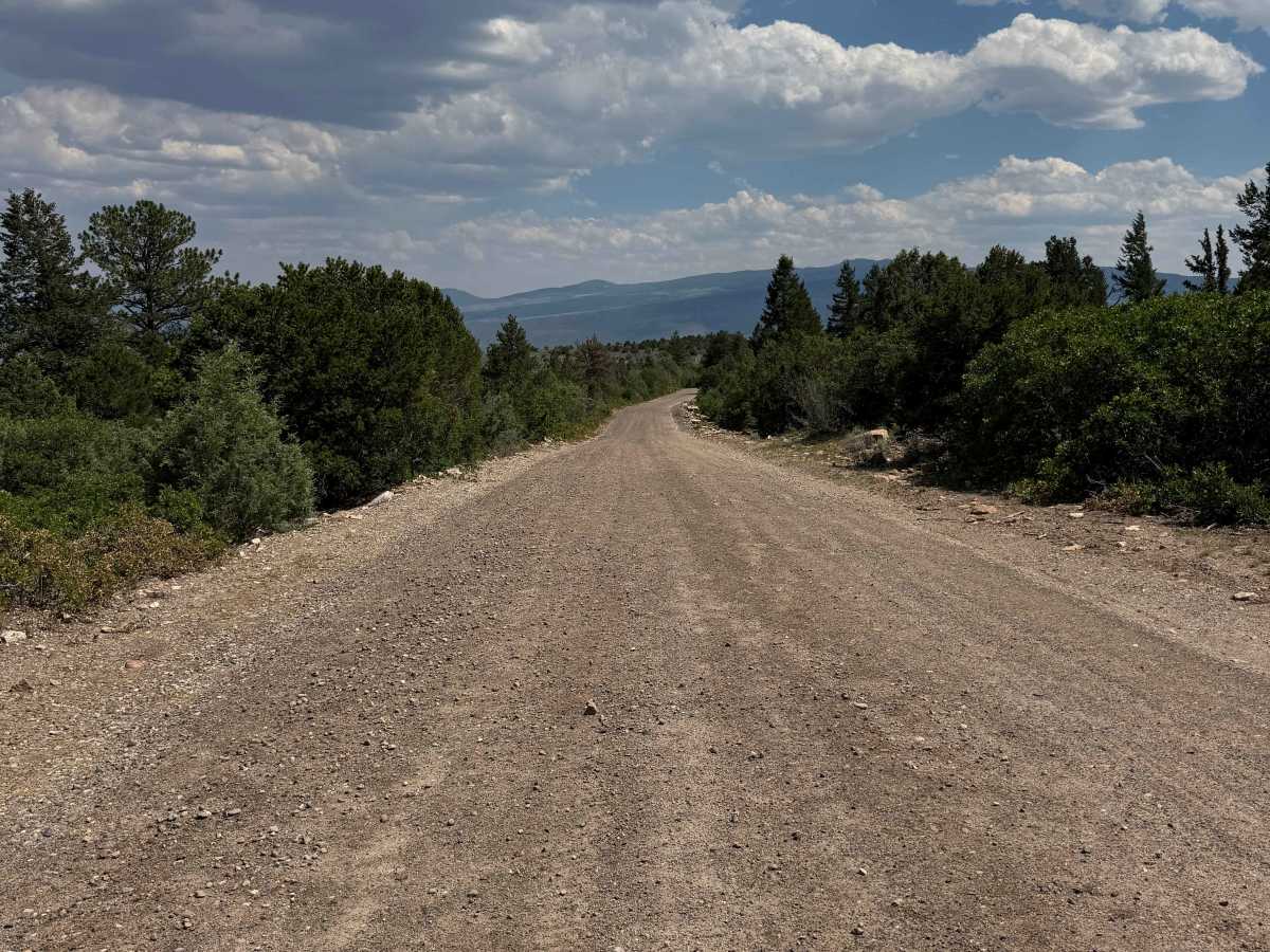 Derby Mesa Loop photo 5