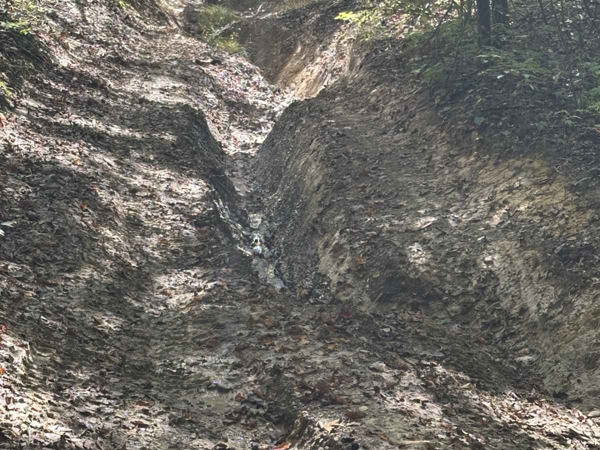 County Park Road photo 6