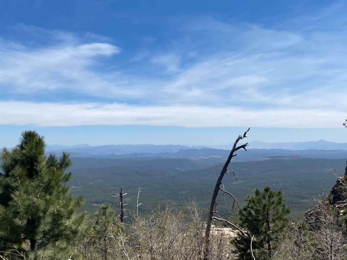 Rim Road West photo 5