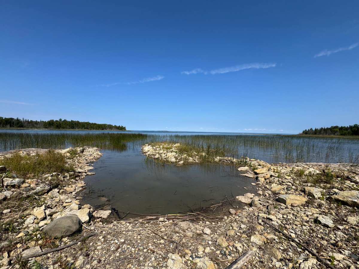 Reynolds Bay Trail photo 3