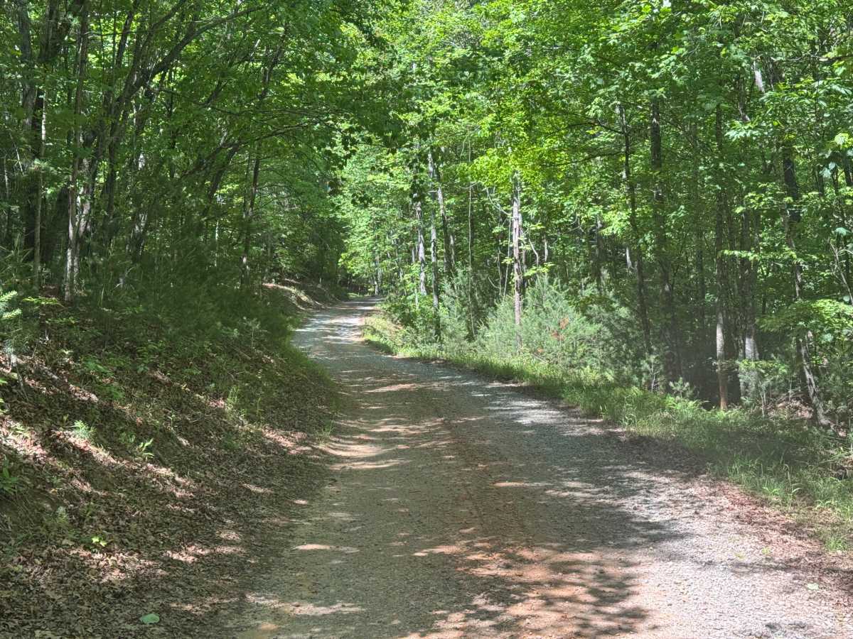 Peter Knob - FS 339 photo 4