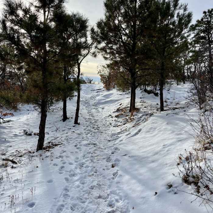 Near Kinnickinnick Trail